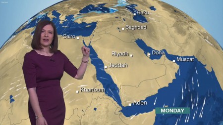 Alina Jenkins Married Details & Children